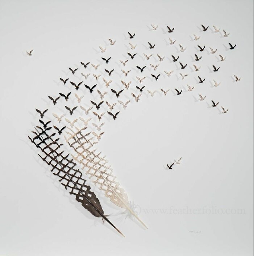 15 Delicate Artworks Made From Hard-Carving Feathers By This Artist 15 Delicate Artworks Made From Hard-Carving Feathers By This Artist