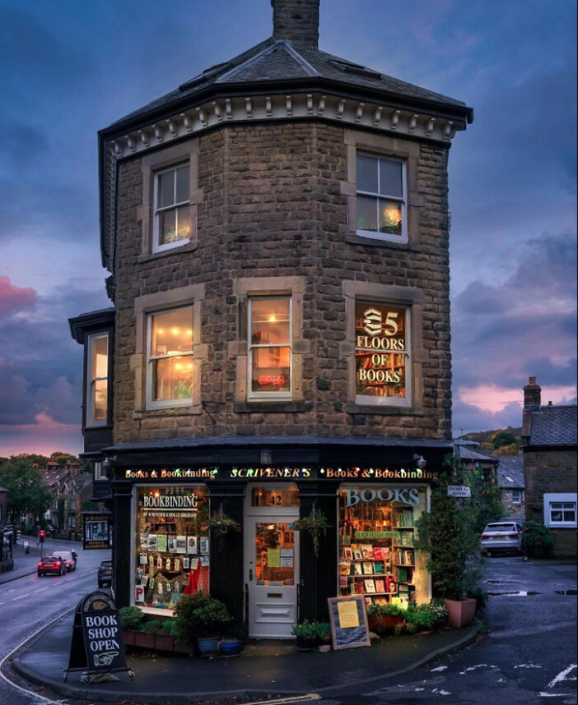 15 fotografías satisfactorias para los amantes de los libros