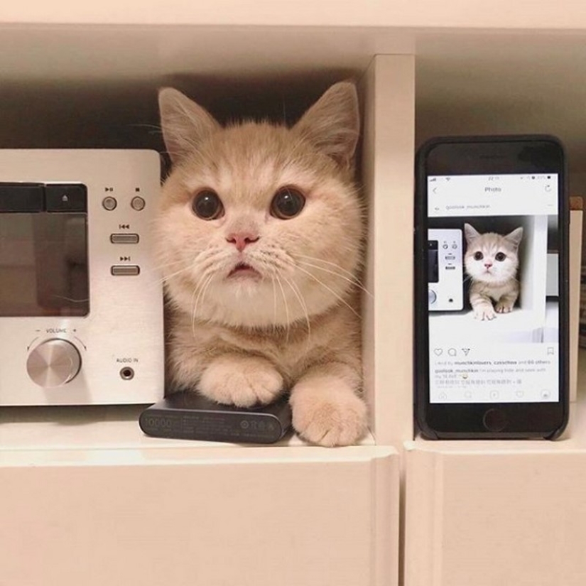 15 fotos bonitas que muestran cómo casi todo cambia bajo la influencia del tiempo 15 fotos bonitas que muestran cómo casi todo cambia bajo la influencia del tiempo