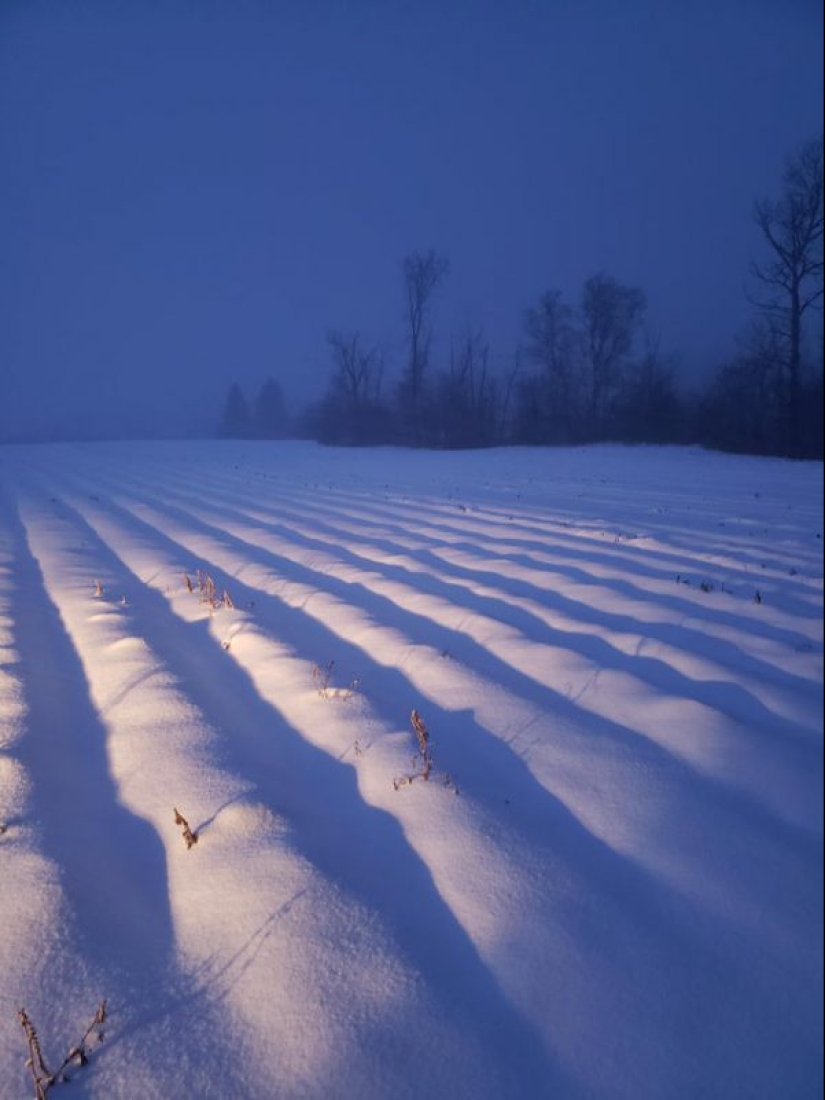 15 fotos que harán las delicias de su interior perfeccionista