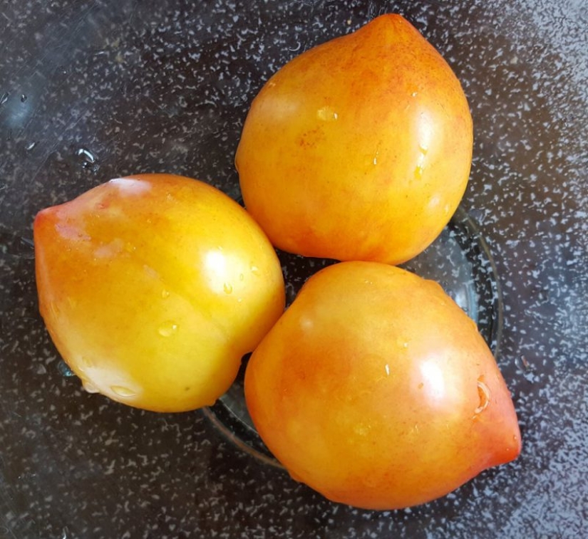 15 fotos que harán las delicias de su interior perfeccionista