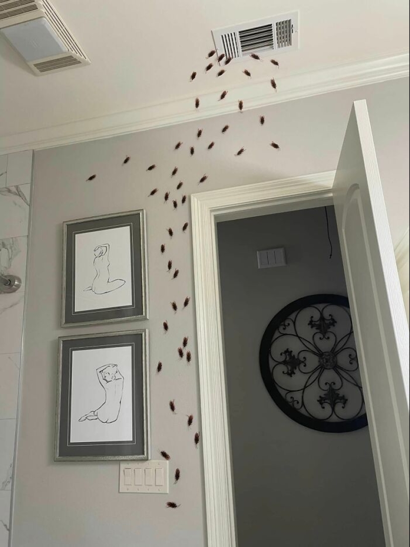 15 ideas de decoración de Halloween baratas y espeluznantes que puedes hacer tú mismo y que lucen increíblemente geniales 15 ideas de decoración de Halloween baratas y espeluznantes que puedes hacer tú mismo y que lucen increíblemente geniales