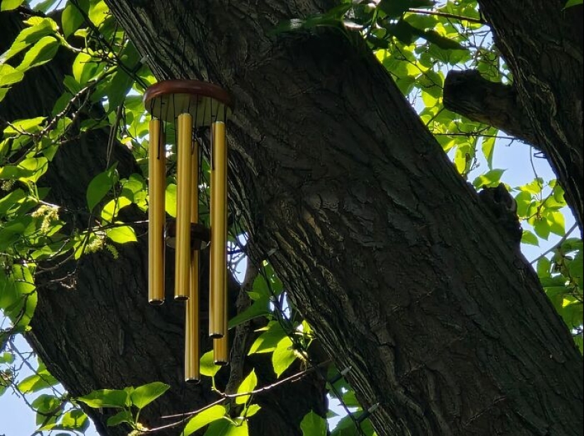 15 Items That Will Make Your Home The Luckiest One On The Block