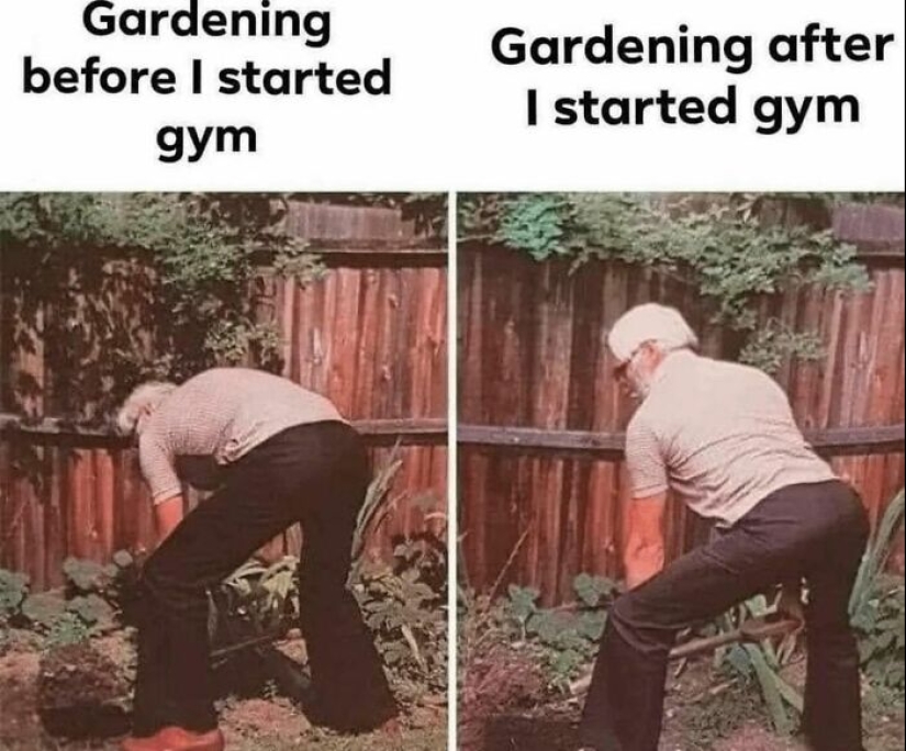 15 memes que las personas a las que les gusta ir al gimnasio pueden encontrar divertidos 15 memes que las personas a las que les gusta ir al gimnasio pueden encontrar divertidos