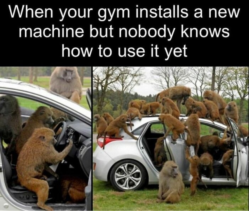 15 Memes That People Who Like Going To The Gym Might Find Funny