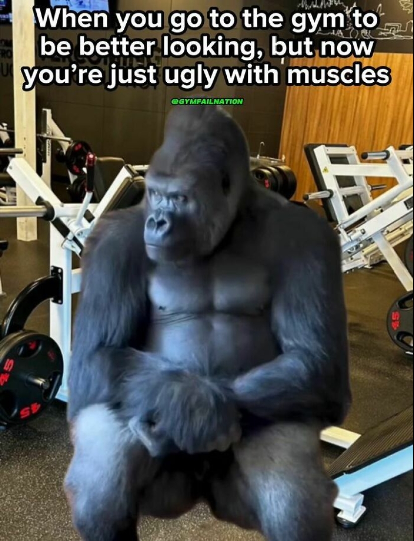 15 Memes That People Who Like Going To The Gym Might Find Funny