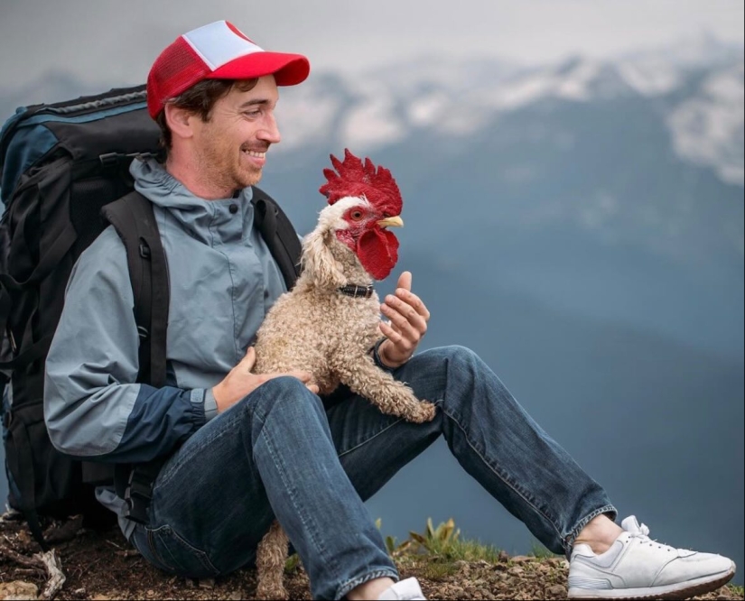 15 mezclas divertidas de animales que creé con Photoshop 15 mezclas divertidas de animales que creé con Photoshop