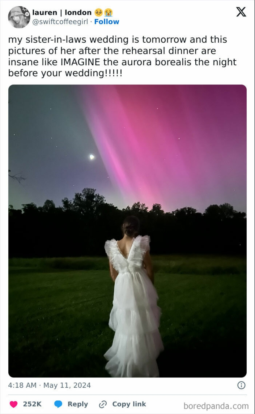 15 Times People Had Amazing Luck