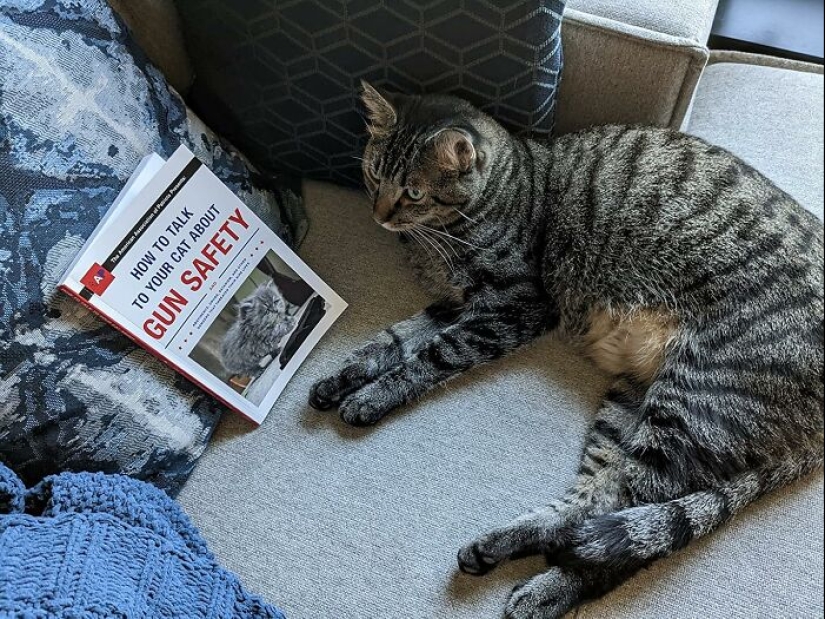 16 Customer Reviews So Funny, You'll Forget What You Were Shopping For