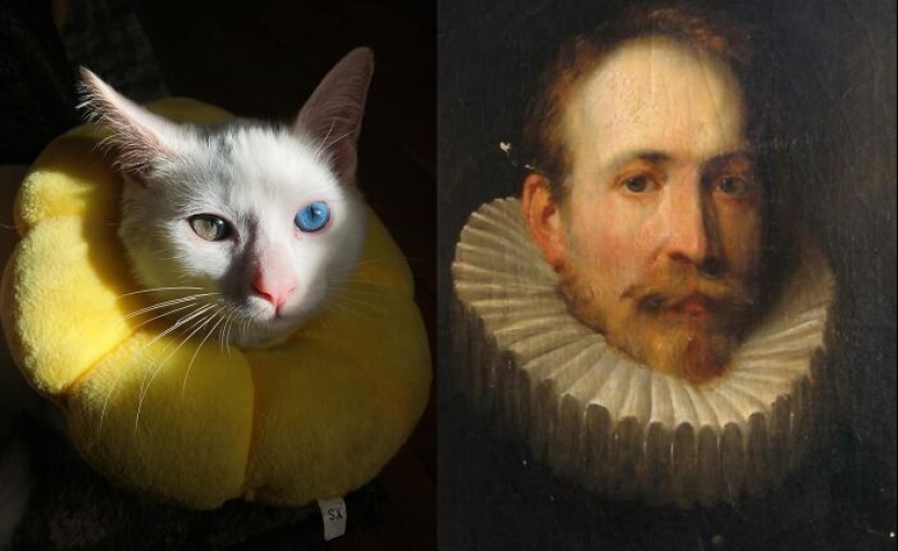 16 Times People Took Pictures Of Their Cats, Only To Realize It Was ‘Accidental Renaissance’