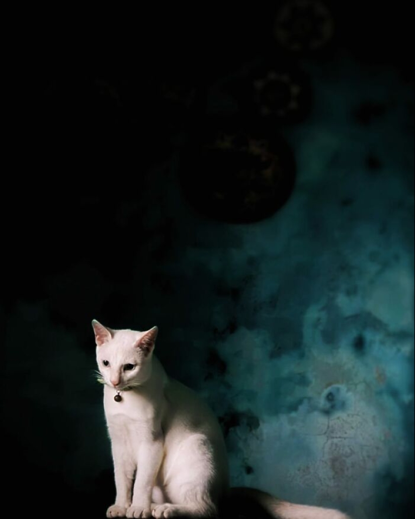 16 Times People Took Pictures Of Their Cats, Only To Realize It Was ‘Accidental Renaissance’