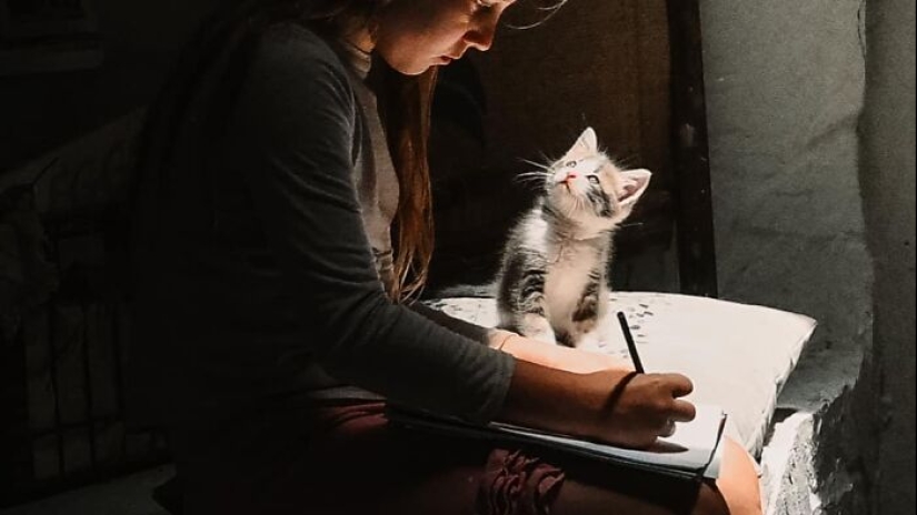 16 veces que la gente tomó fotografías de sus gatos, solo para darse cuenta de que era un 'renacimiento accidental' 16 veces que la gente tomó fotografías de sus gatos, solo para darse cuenta de que era un 'renacimiento accidental'