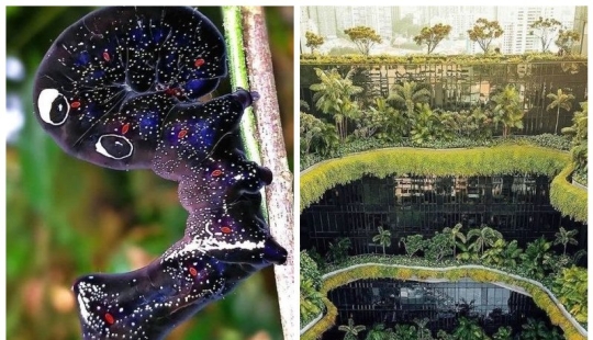 17 amazing things and places that actually exist