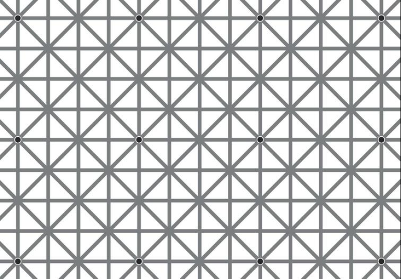 17 datos interesantes sobre todo en el mundo que harán que tus horizontes sean más amplios al instante 17 datos interesantes sobre todo en el mundo que harán que tus horizontes sean más amplios al instante