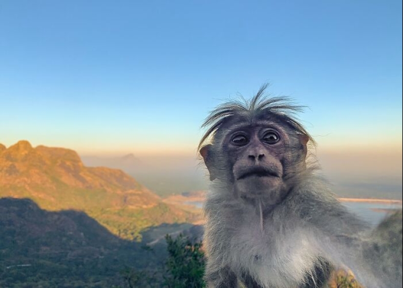 17 increíbles imágenes del fotógrafo de vida salvaje indio Varun Aditya 17 increíbles imágenes del fotógrafo de vida salvaje indio Varun Aditya