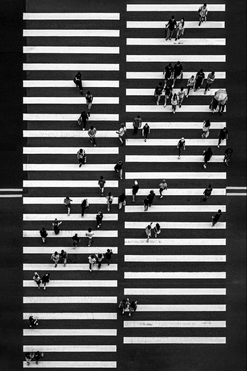 18 Award-Winning Black and White Photos From The Garden Photographer Of The Year 18 Award-Winning Black and White Photos From The Garden Photographer Of The Year