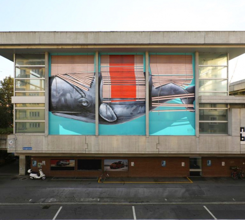 18 cool street art works that open a portal to another world 18 cool street art works that open a portal to another world