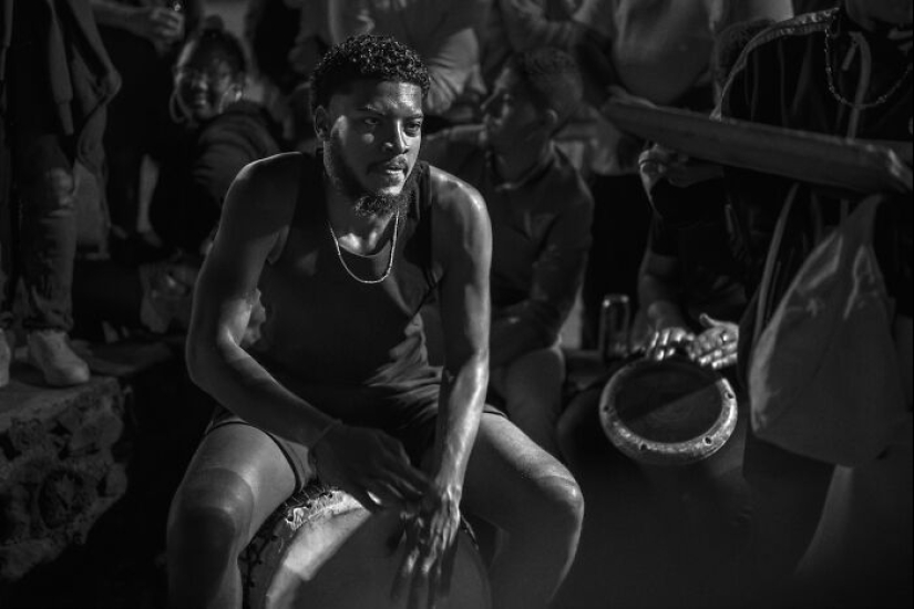 18 fotografías en blanco y negro premiadas del fotógrafo de jardines del año