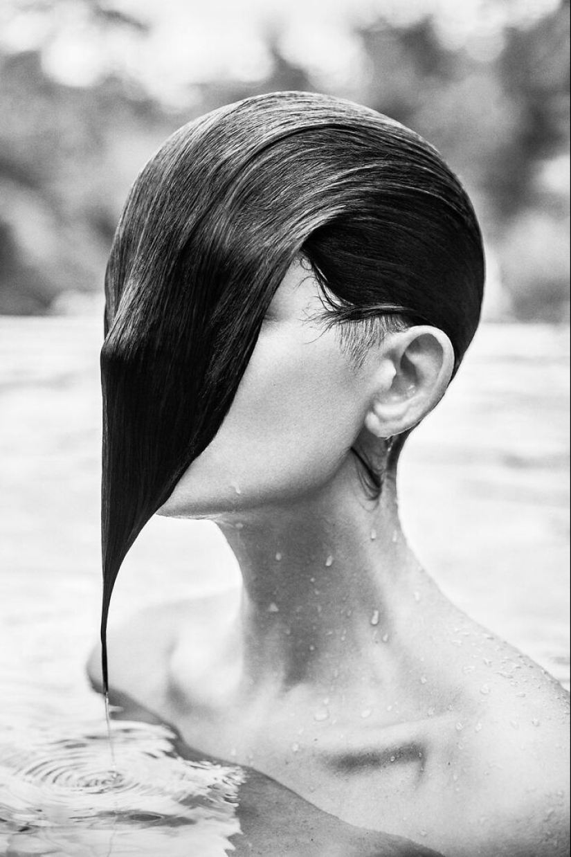 18 fotografías en blanco y negro premiadas del fotógrafo de jardines del año