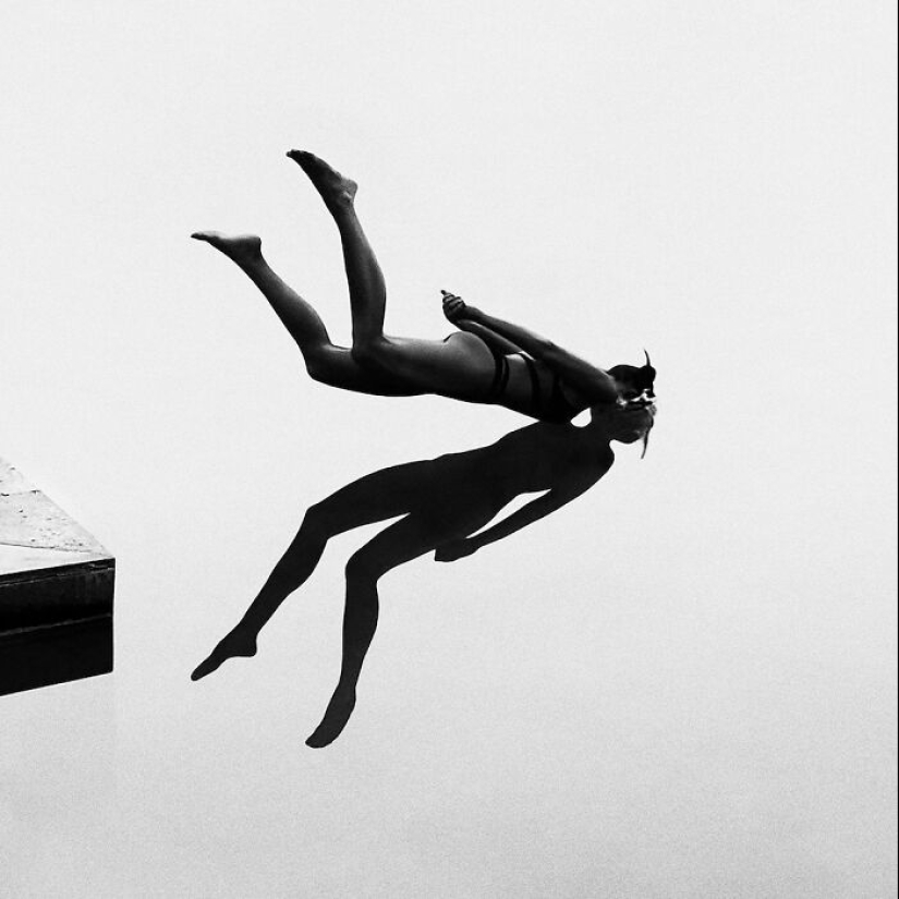 18 fotografías en blanco y negro premiadas del fotógrafo de jardines del año