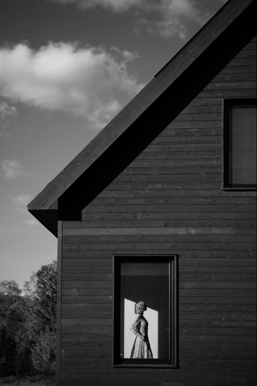 18 fotografías en blanco y negro premiadas del fotógrafo de jardines del año