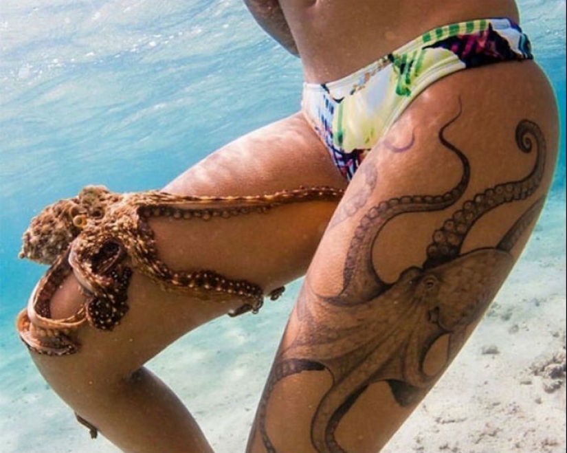 18 photos where life imitates art, and not the other way around 18 photos where life imitates art, and not the other way around