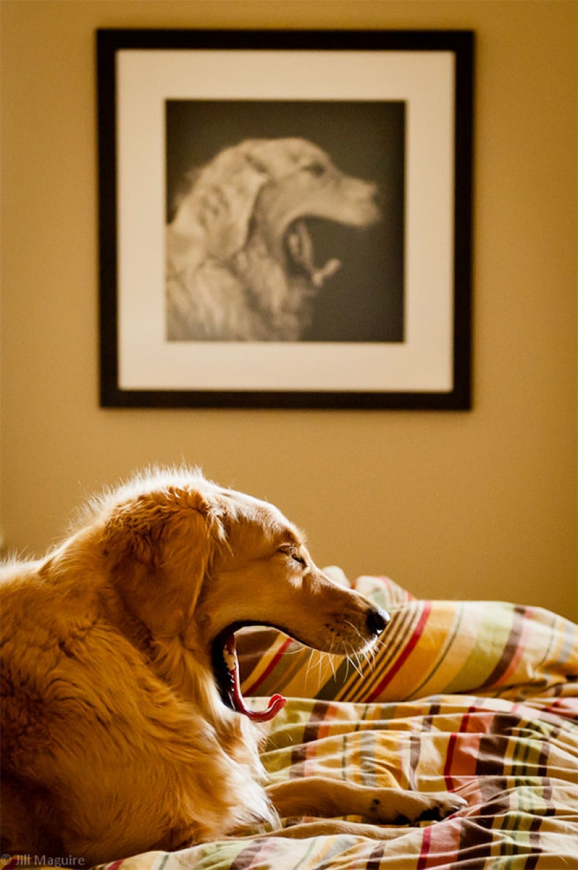 18 photos where life imitates art, and not the other way around 18 photos where life imitates art, and not the other way around