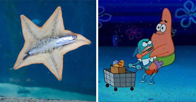 18 photos where life imitates art, and not the other way around 18 photos where life imitates art, and not the other way around