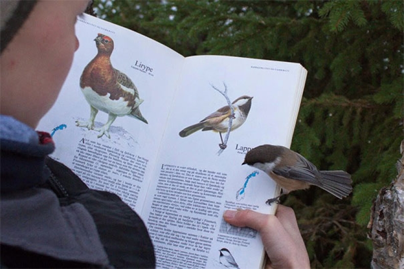 18 photos where life imitates art, and not the other way around 18 photos where life imitates art, and not the other way around