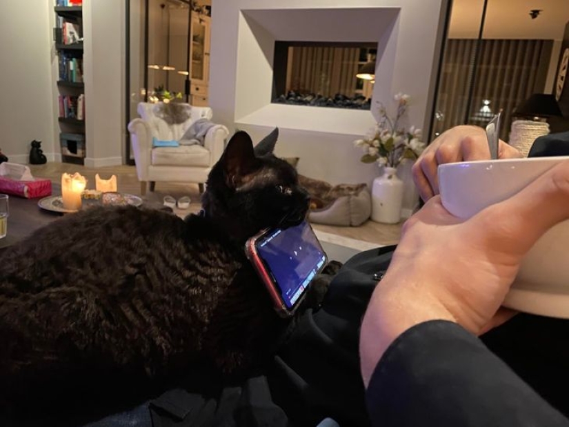 19 cat lovers who know how to get along with their pets