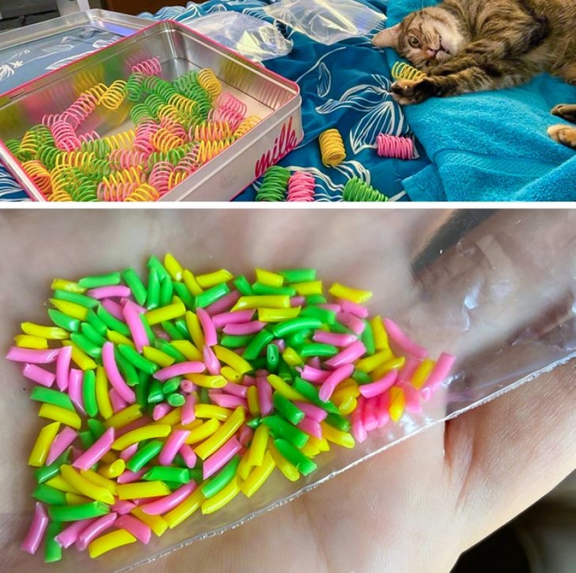 19 cat lovers who know how to get along with their pets