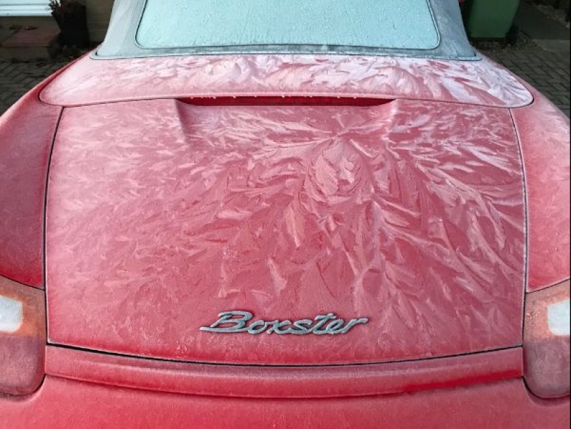 19 perfect photos that will bring visual enjoyment 19 perfect photos that will bring visual enjoyment