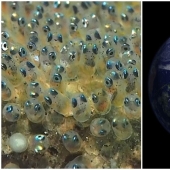 20+ amazing facts about everything that expand horizons