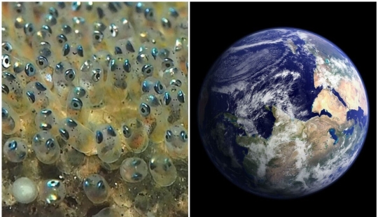 20+ amazing facts about everything that expand horizons 20+ amazing facts about everything that expand horizons