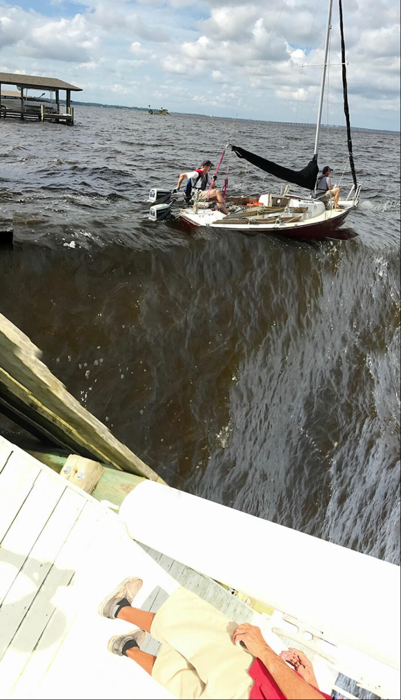 20 Beautiful Pictures Of ‘Art’ That Happened Completely By Accident