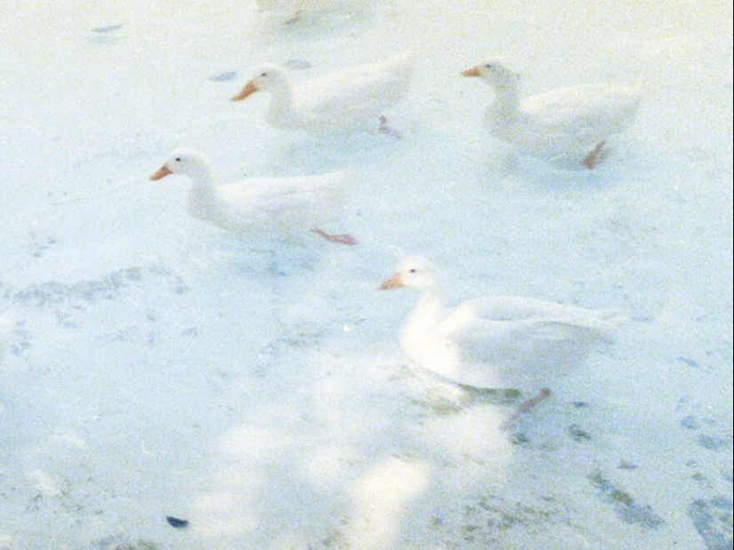 20 Beautiful Pictures Of ‘Art’ That Happened Completely By Accident