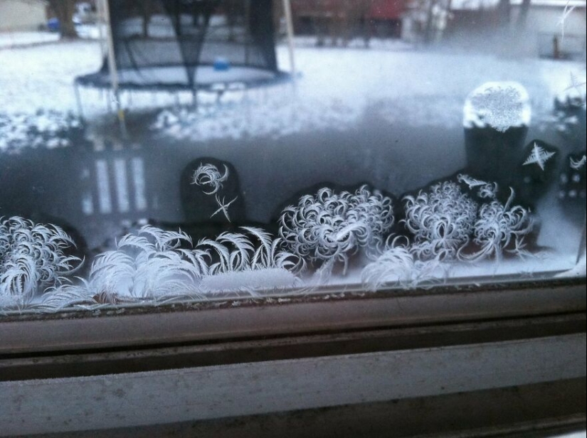 20 Beautiful Pictures Of ‘Art’ That Happened Completely By Accident