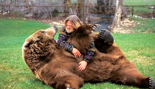 20 bellies that need to be scratched immediately