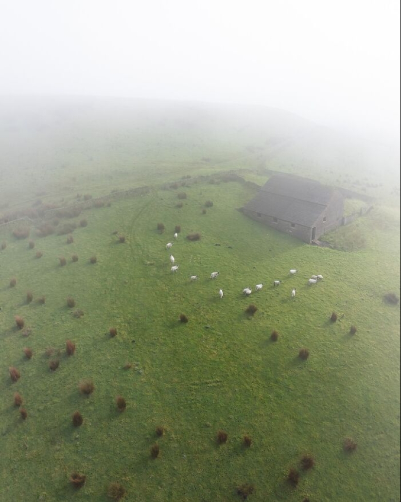 20 Breathtaking Nature Photos By Jeroen Van Nieuwenhove