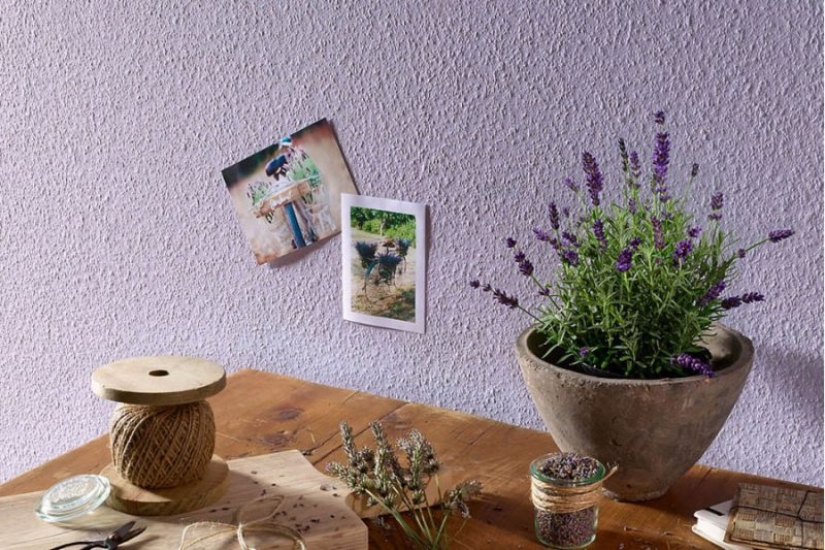 20 de interior, que, en opinión de los Británicos, dar un mal sabor de boca 20 de interior, que, en opinión de los Británicos, dar un mal sabor de boca