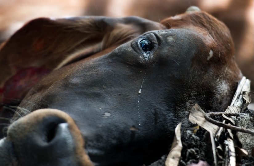 20 dramatic images of what it is to be human
