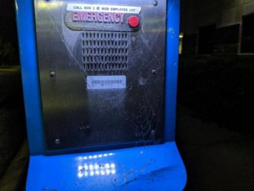 20 foto con una araña enorme, de la que arachnophobe horrorizarse 20 foto con una araña enorme, de la que arachnophobe horrorizarse