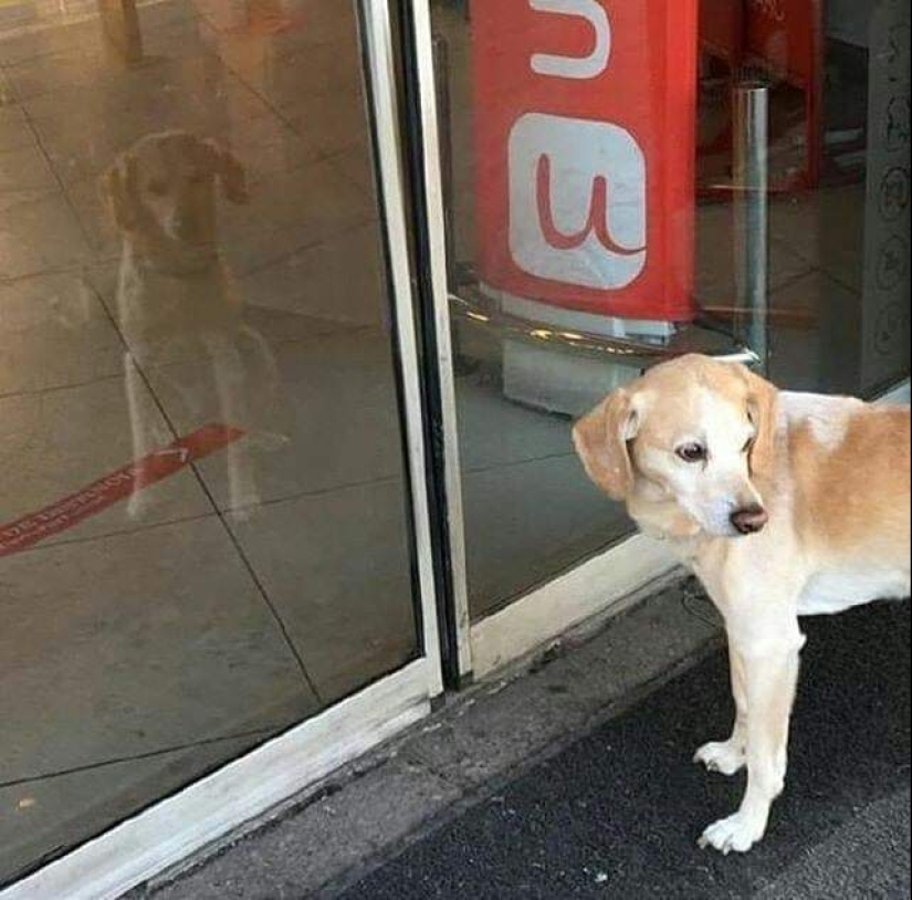 20 fotos de la serie " Gracias a Dios, parecía..." 20 fotos de la serie " Gracias a Dios, parecía..."