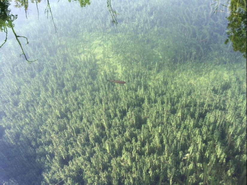 20 fotos de la serie " Gracias a Dios, parecía..." 20 fotos de la serie " Gracias a Dios, parecía..."