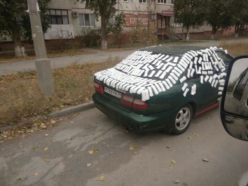 20 fotos demostrando que los gatos no están diseñados para el invierno 20 fotos demostrando que los gatos no están diseñados para el invierno