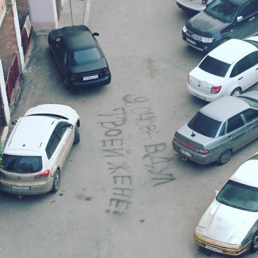 20 fotos demostrando que los gatos no están diseñados para el invierno 20 fotos demostrando que los gatos no están diseñados para el invierno