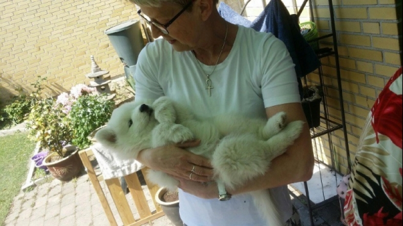 20 fotos dramáticas que movió todas las profundidades