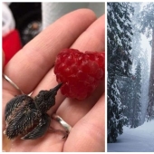 20 fotos que demuestran que el ingenio de los presos no tiene límites