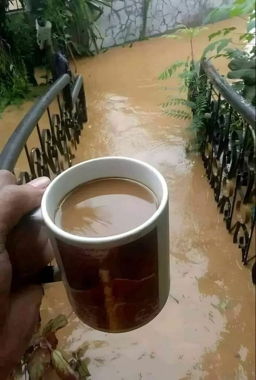 20 fotos tan ridículamente aleatorias que no podrás evitar reírte