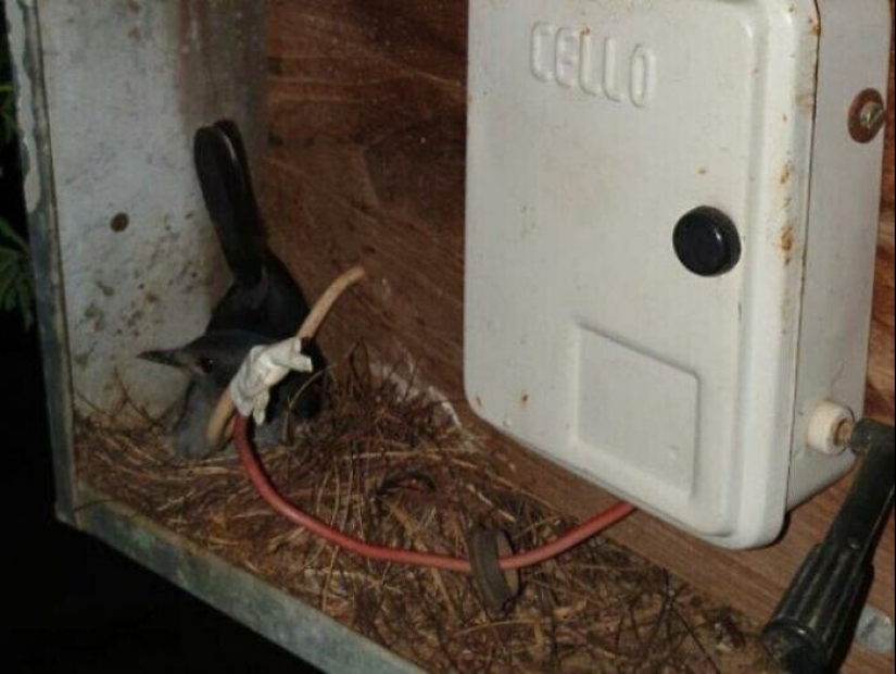 20+ hechos sorprendentes acerca de todo lo que amplían los horizontes